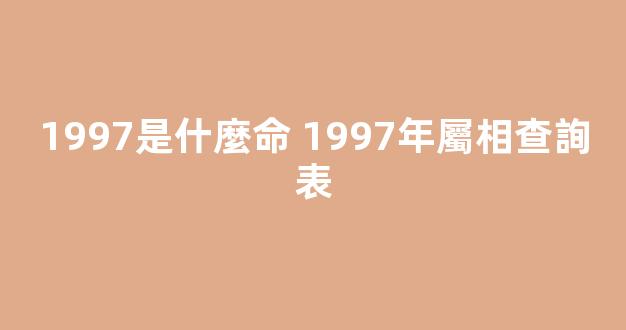 1997是什麼命 1997年屬相查詢表